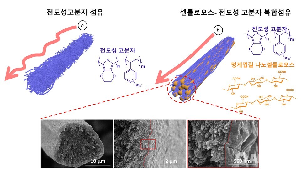 이번 연구에서 개발된 고도로 정렬되고 전기적특성이 향상된 복합 전도성 섬유 및 주사전자현미경 사진. (사진=지스트)