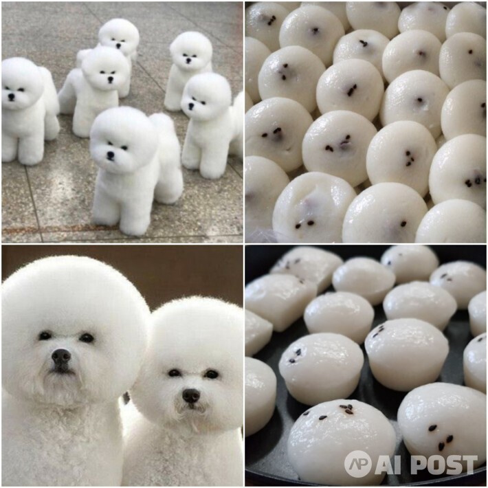 몇 년 전 SNS상에서 유행하던 '숨은 동물 찾기' 관련 이미지. (사진=인스타그램)