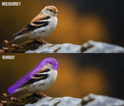 (사진=Rory Flynn 트위터)