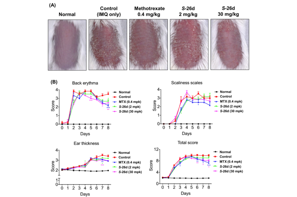 건선 쥐 모델에서 확인된 신규 길항제의 건선 완화 효과. (사진=지스트)
