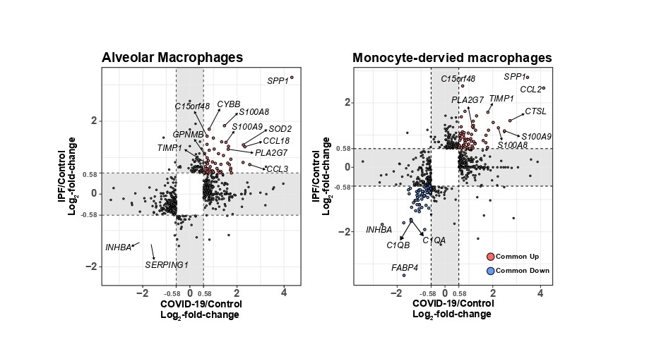 코로나19 환자와 특발성 섬유증 환자의 폐 대식세포 전사체 데이터 분석. (사진=지스트)