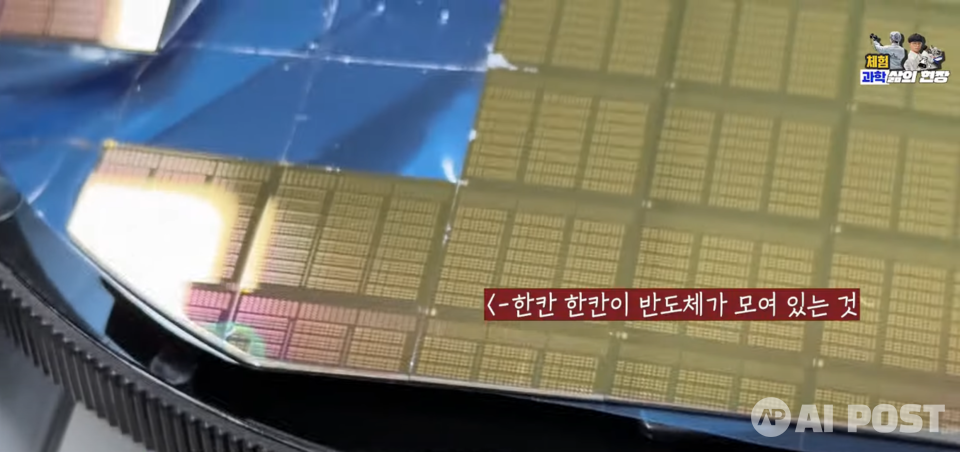 (사진=유튜브 지식인미나니)