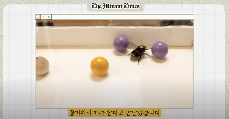 (사진=유튜브 지식인미나니)