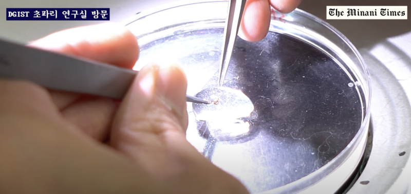 (사진=유튜브 지식인미나니)