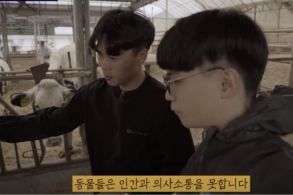 (사진=유튜브 지식인미나니)