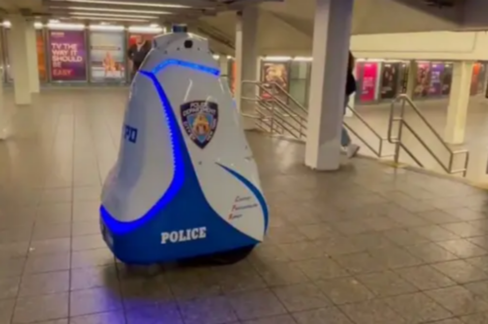 (사진=나이트스코프)