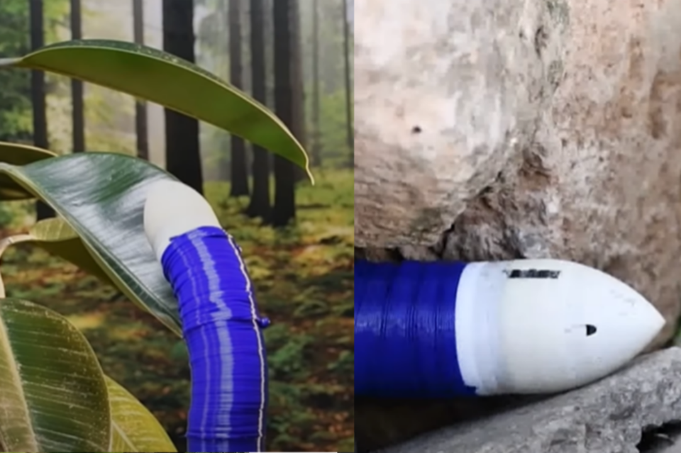 (사진=New Scientist)