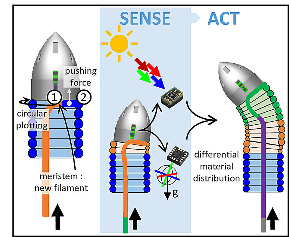 (사진=New Scientist)