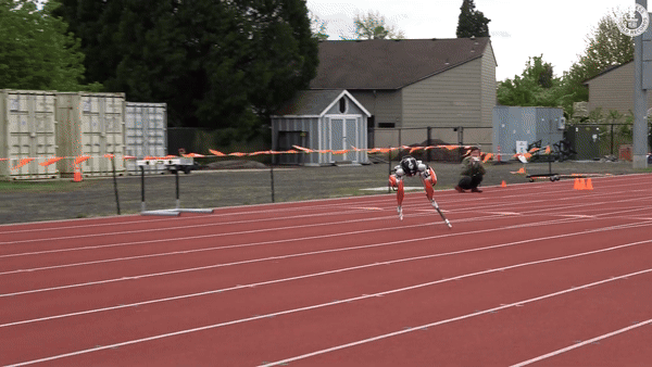 (영상=Guinness World Records)