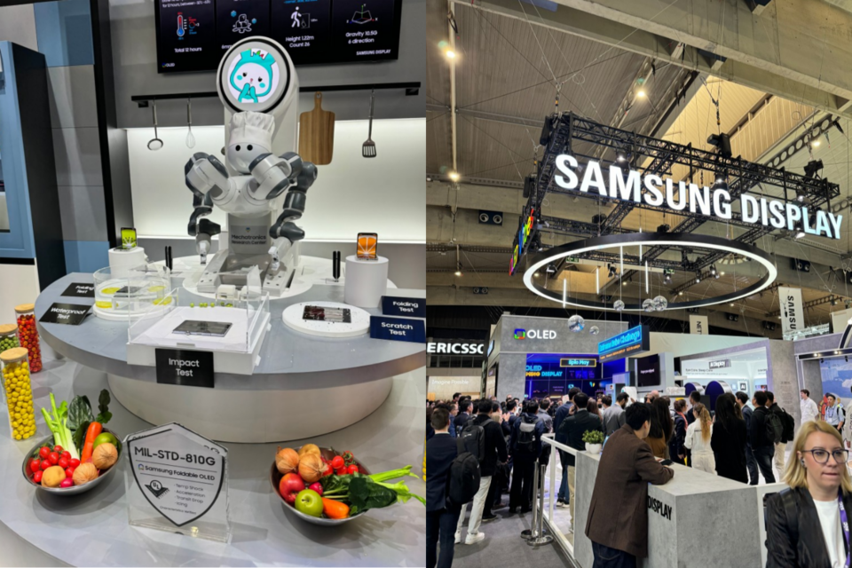 (사진=지식인미나니)