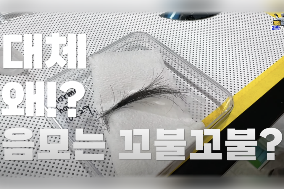 (사진=지식인미나니)