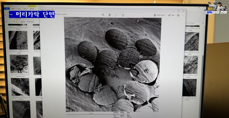 (사진=지식인미나니)