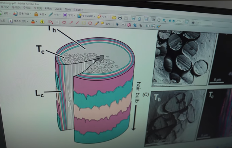 (사진=지식인미나니)