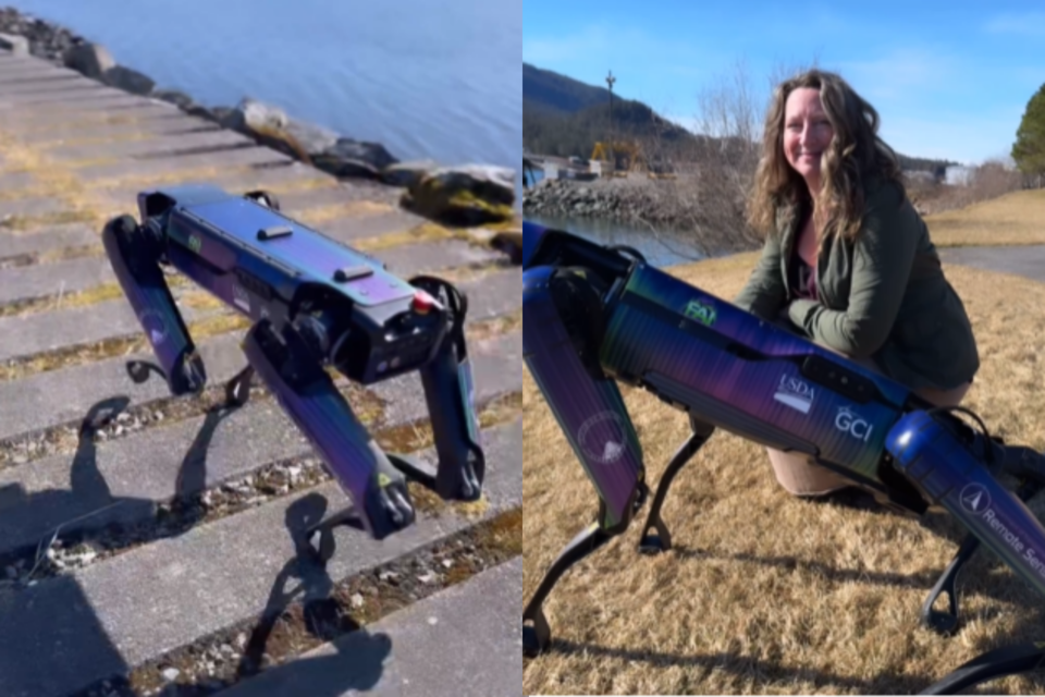 (사진=alaska_dotpf 인스타그램)