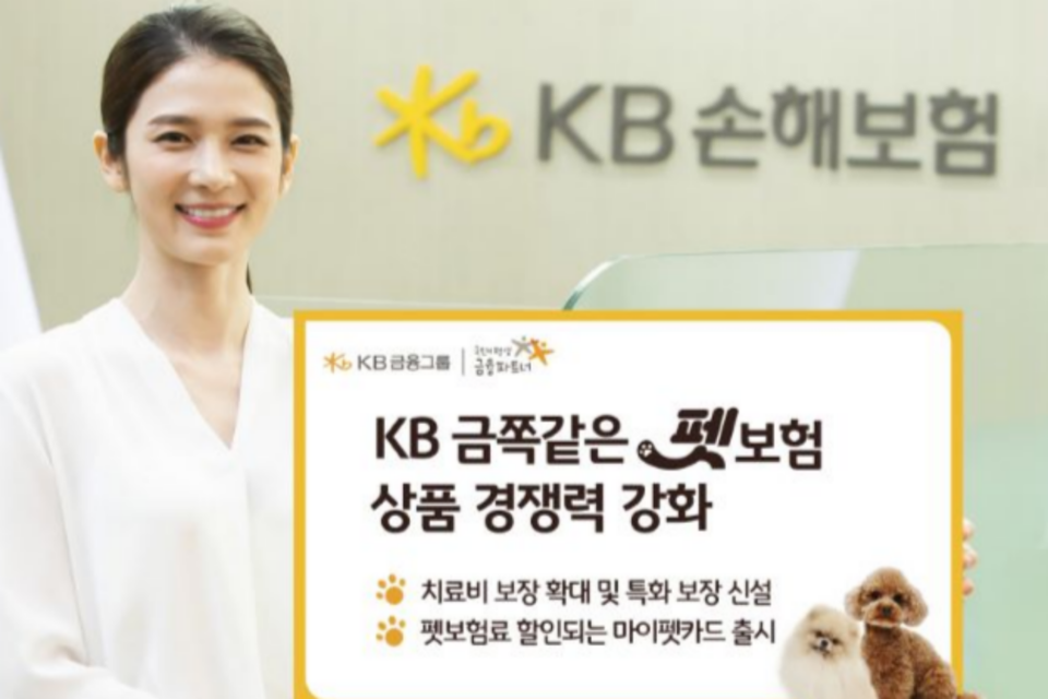 (사진=KB손해보험)