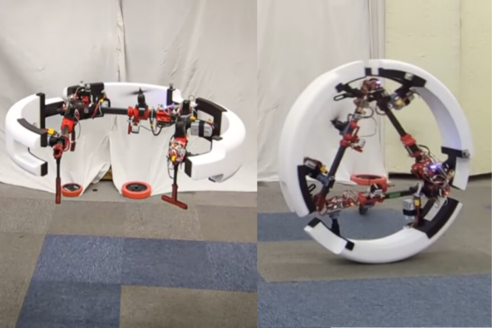 (사진=도쿄대학교)