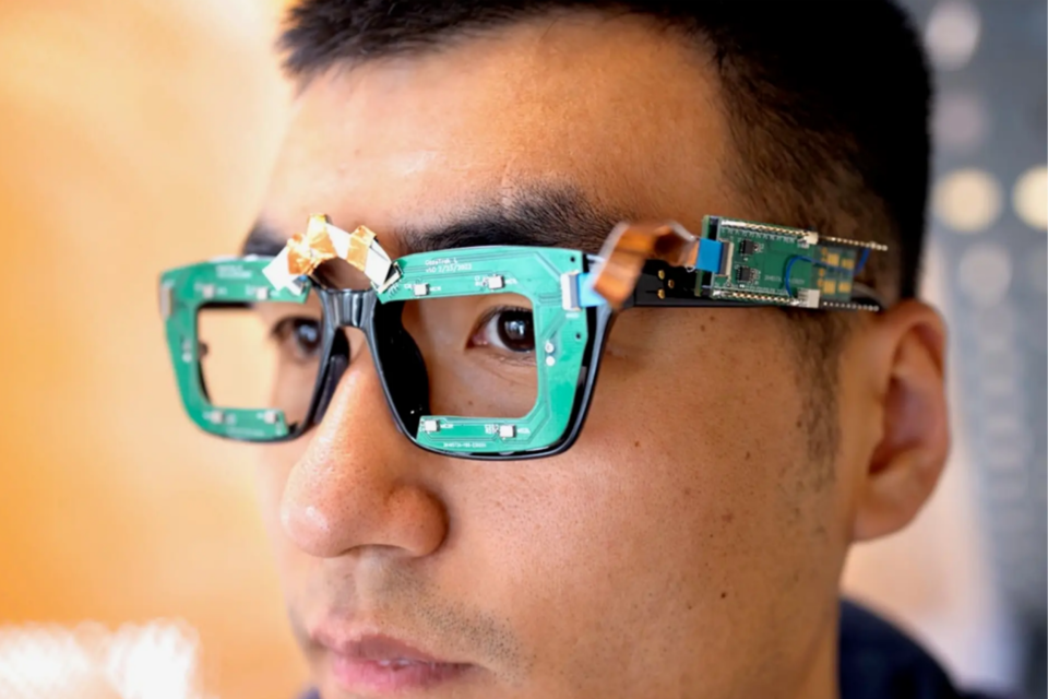 (사진=코넬대학교)