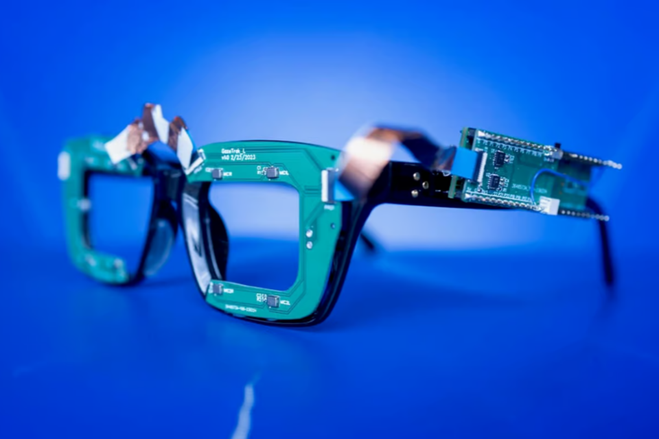 (사진=코넬대학교)