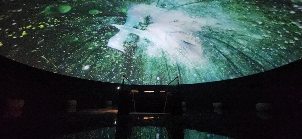 죽녹원 아트센터 전시실 내 구축된 실감콘텐츠. (사진=전남정보문화산업진흥원)