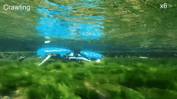 (그래픽=포스텍)