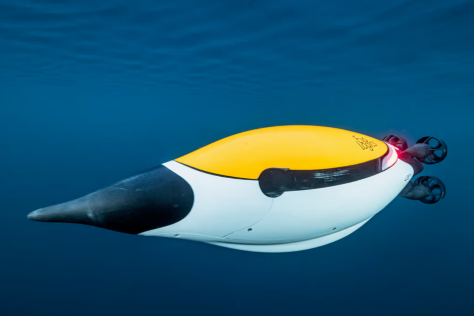 쿼드로인. (사진=에보로직스)