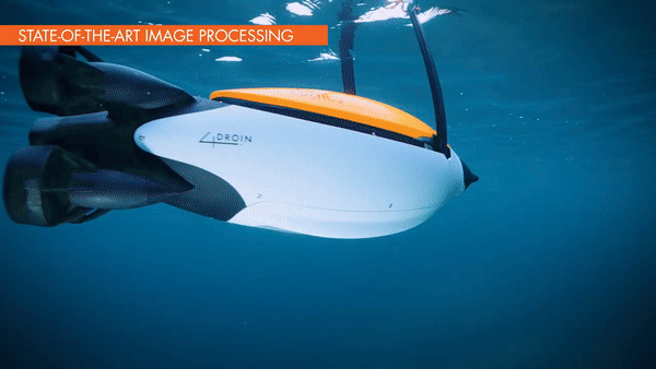 쿼드로인. (그래픽=에보로직스)