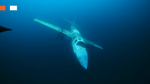 쿼드로인. (그래픽=에보로직스)