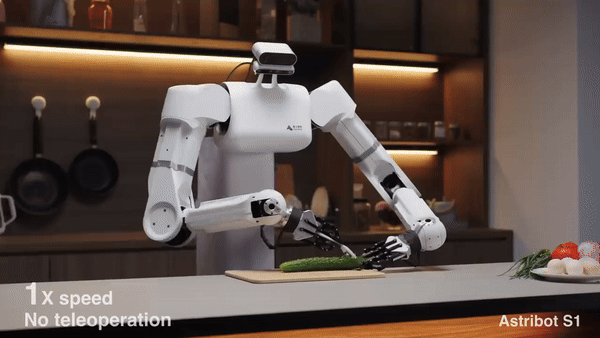 아스트리봇 S1. (그래픽=스타더스트 인텔리전스)