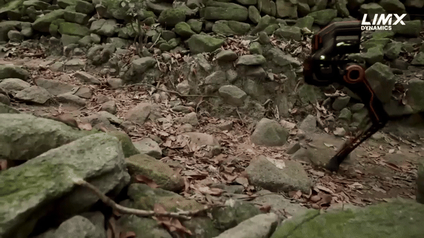 (그래픽=림엑스 다이내믹스)