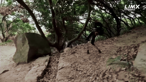 (그래픽=림엑스 다이내믹스)