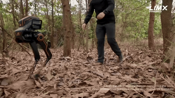 (그래픽=림엑스 다이내믹스)