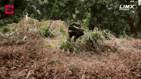 (그래픽=림엑스 다이내믹스)