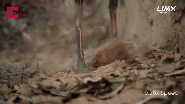 (그래픽=림엑스 다이내믹스)