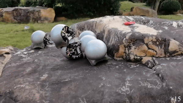 로봇 달팽이가 협력해 장애물을 넘는 모습. (그래픽=홍콩중문대학교)