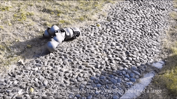 (그래픽=홍콩중문대학교)