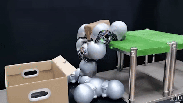 (그래픽=홍콩중문대학교)