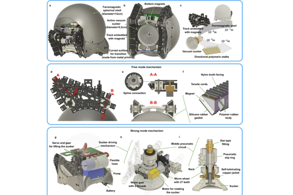 (사진=홍콩중문대학교)