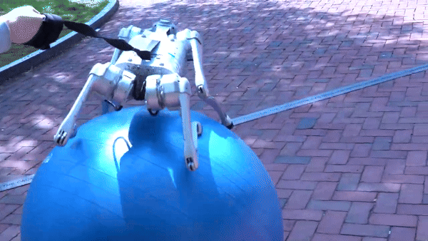 (그래픽=Jason Ma 유튜브)