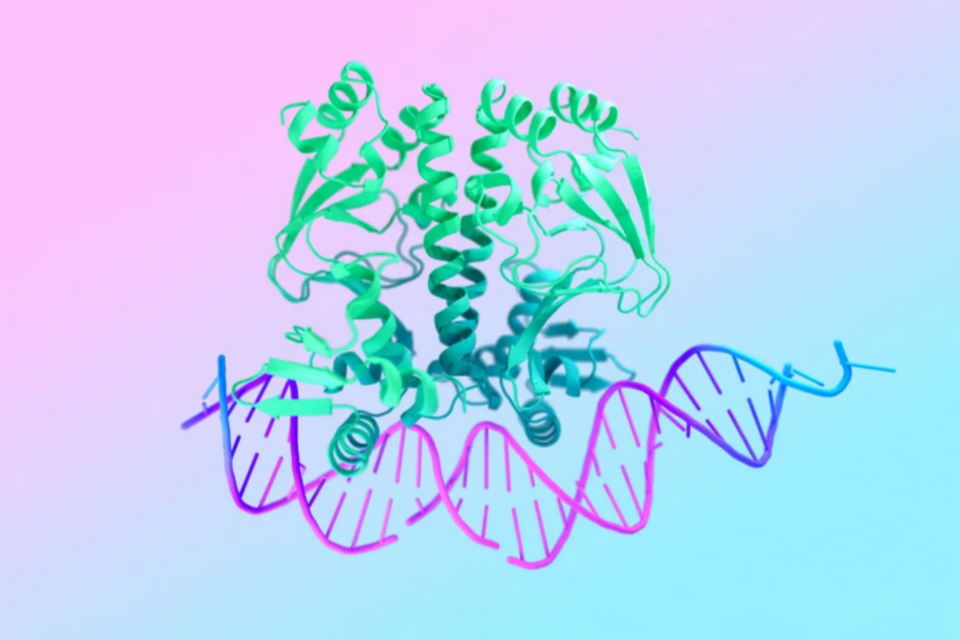 (사진=구글 딥마인드)