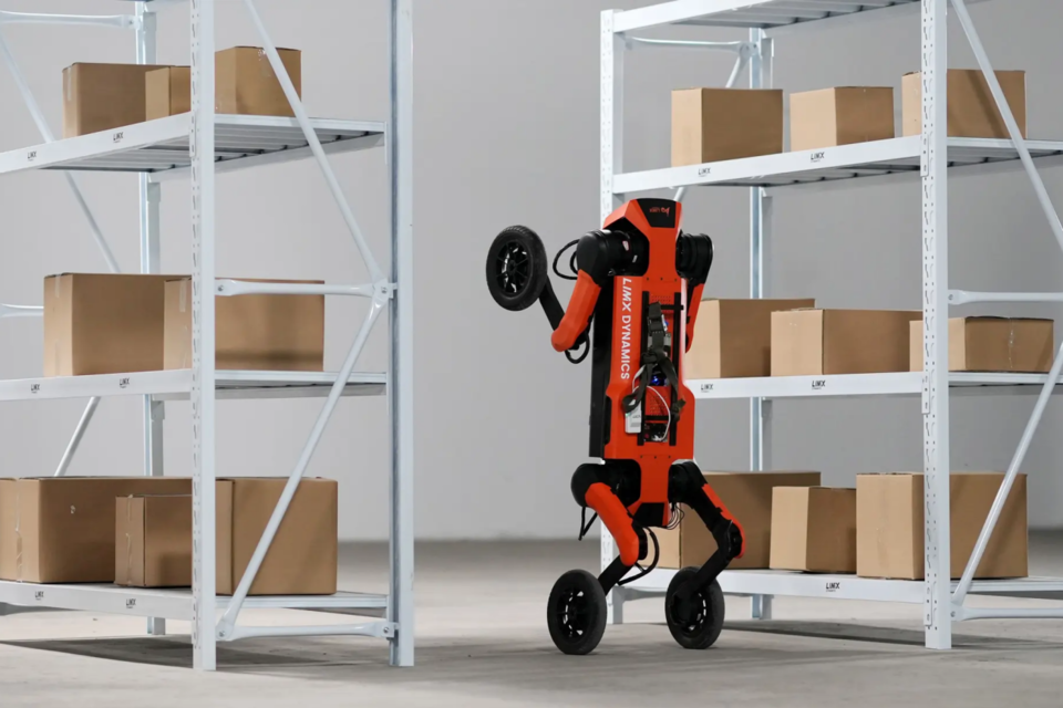 (사진=림엑스다이내믹스)