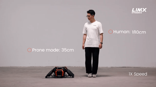 (그래픽=림엑스다이내믹스)