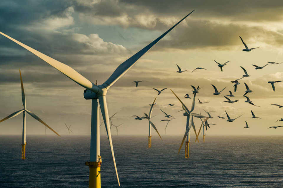 (사진=이디오그램)