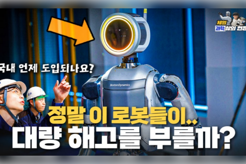 (사진=지식인미나니)