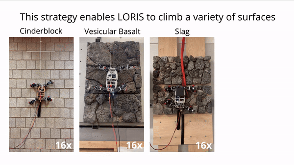 (그래픽=Robomechanics Lab Youtube)