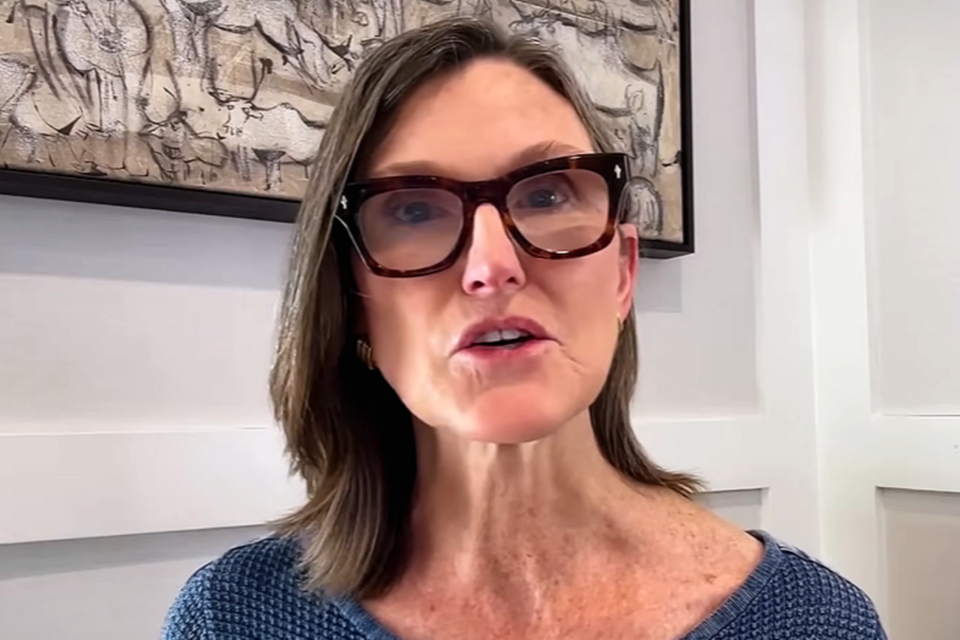 일명 '돈나무 언니'로 불리는 캐시 우드 아크 인베스트먼트 CEO. (사진=ARK Invest Youtube)