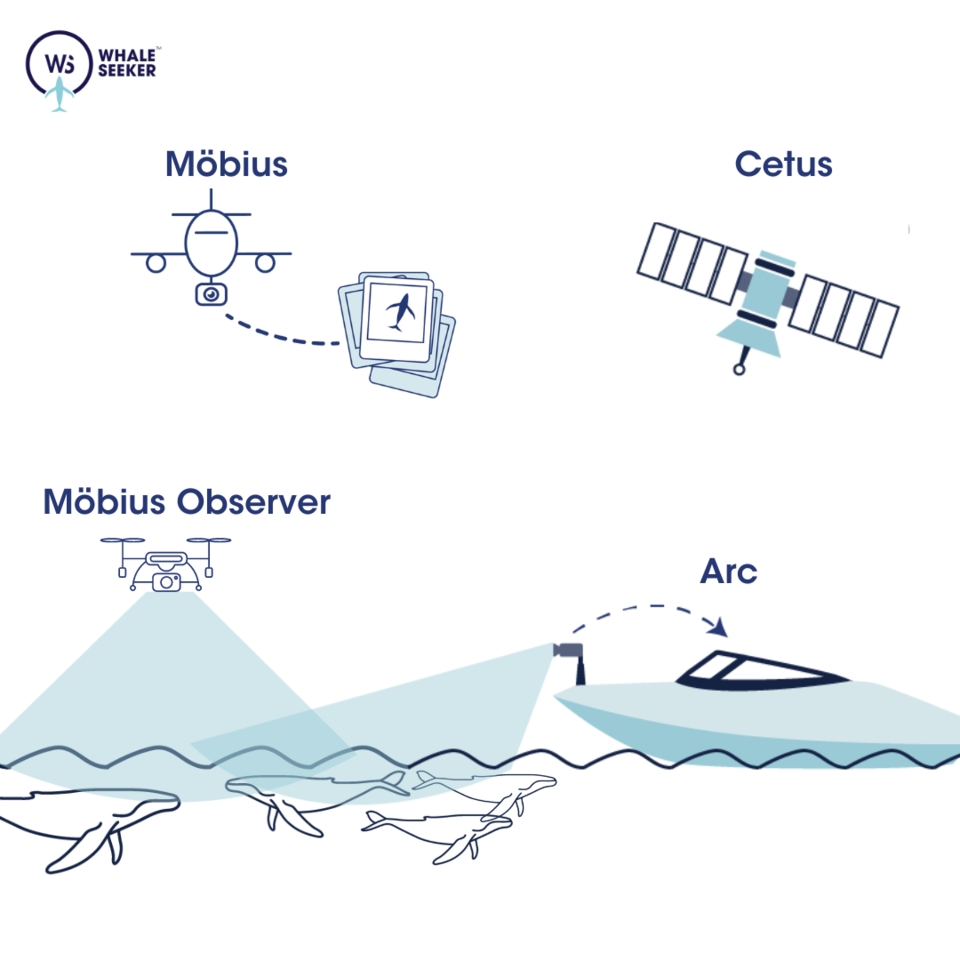 웨일 시커의 기술을 설명하는 개념도. (사진=웨일 시커)