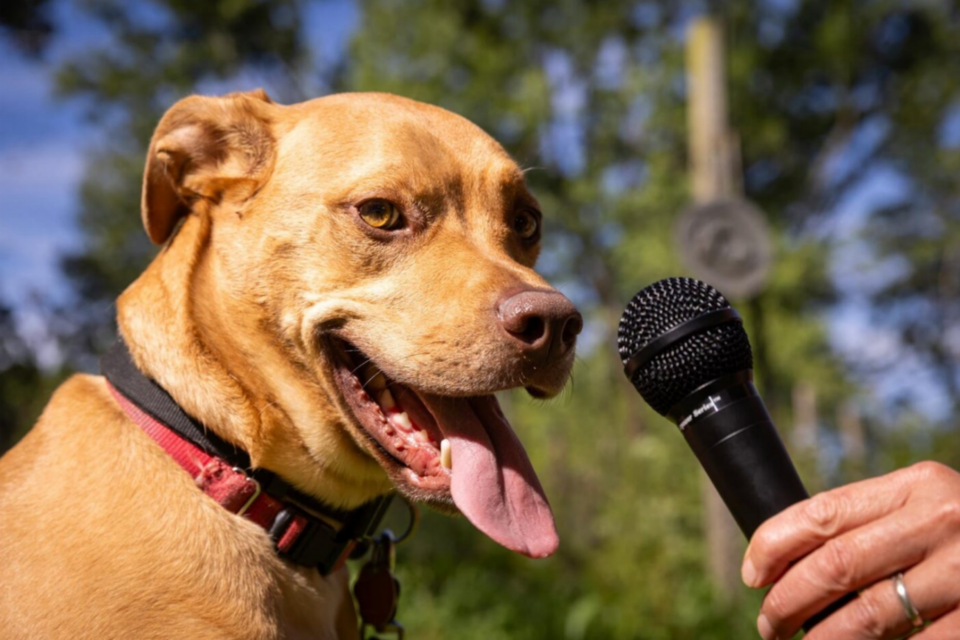 (사진=미시간 대학)