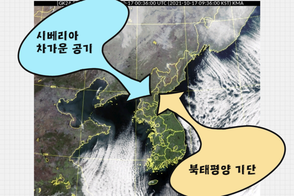 (사진=지식인미나니)