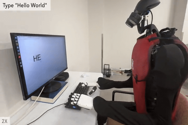 (그래픽=미국 스탠퍼드대 휴먼플러스)