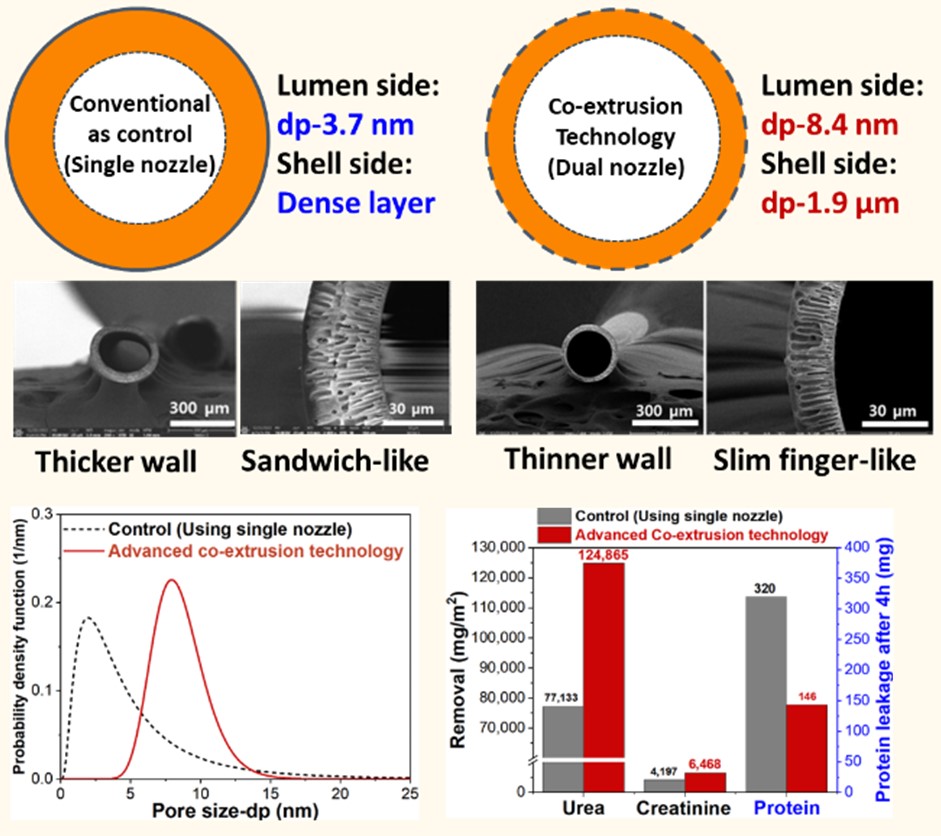 공압출 공정을 이용한 혈액투석용 중공사막의 특성 및 요독 제거 성능. (사진=지스트)